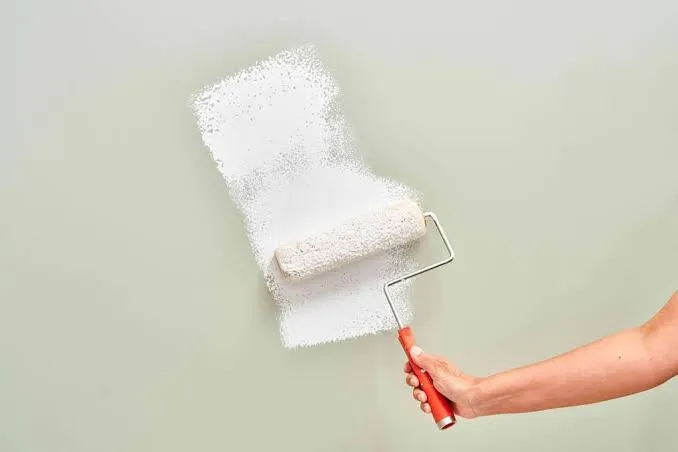 Paint Primer